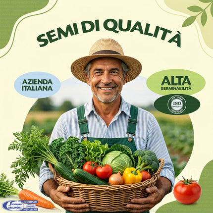 Kit Orto 4 Stagioni 26 Sementi Dotto (365g) | Alta Germinabilità per Balcone e Giardino Sementi Dotto