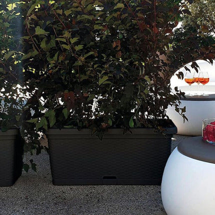 Stefanplast Fioriera Natural Con Ruote – Design Rattan, 66 Litri, Irrigazione Progressiva E Barra Rinforzante