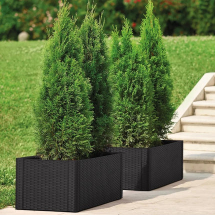 Stefanplast Fioriera Natural Deluxe Antracite Cm.100X43X33H