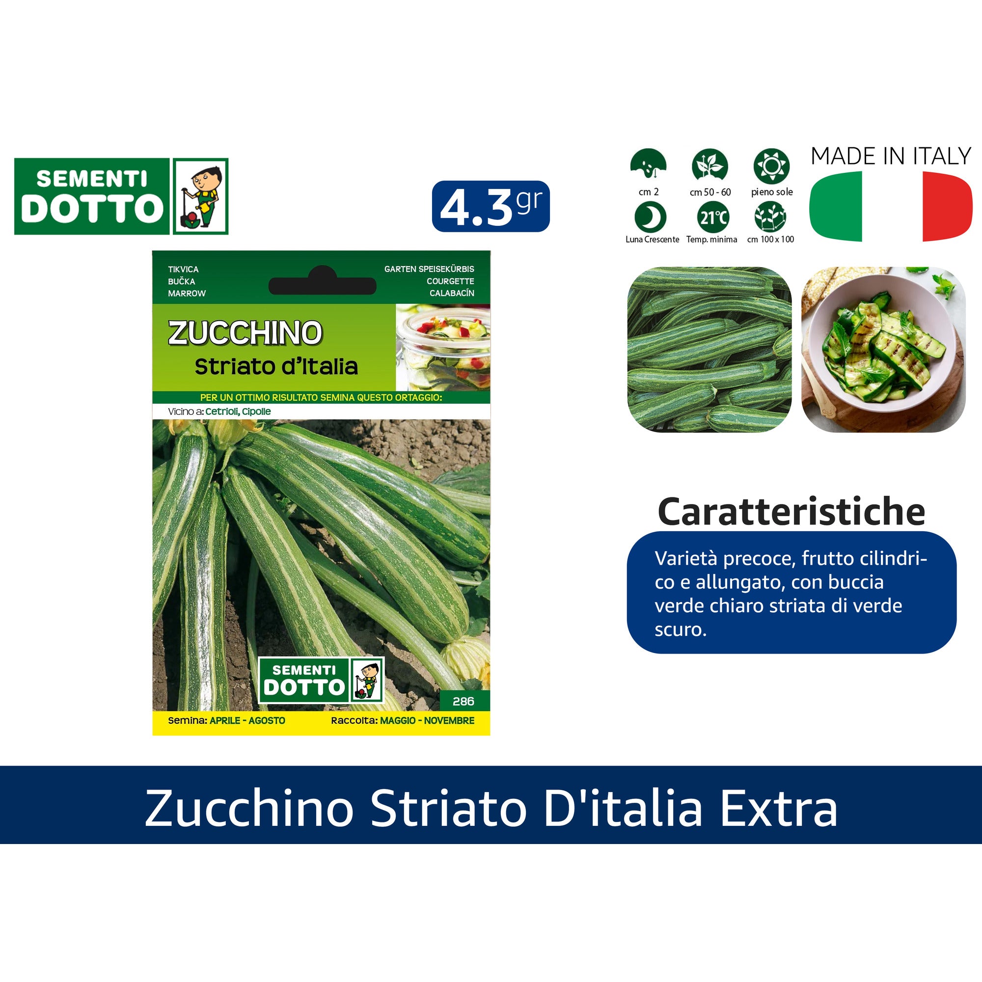 Sementi Dotto Professionali: Semi da Orto Alta Germinazione | Scegli Varietà e Formato Risparmio Zucchino striato d'italia Sementi Dotto